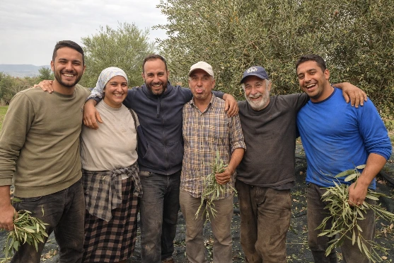 Workers in the olive grove Local workers maintaining the olive grove to ensure a high-quality harvest.