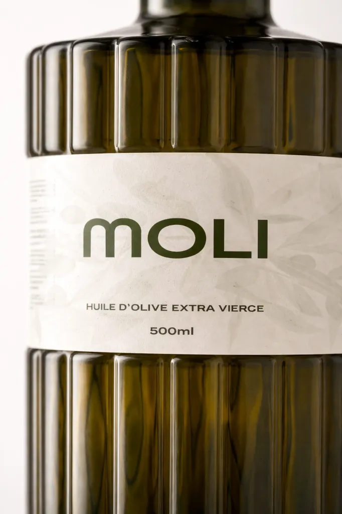 ChatGPT Image Dec 31, 2025, 06_56_17 PM.webp